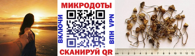 Галлюциногенные грибы Psilocybine cubensis  Шиханы 